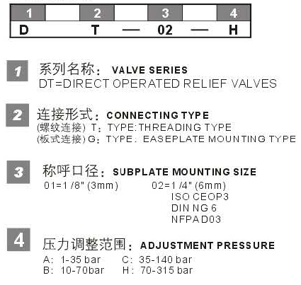 DT DG型號(hào)說明.jpg